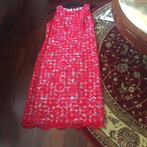 PRICE DROP NWT any occasion gorgeous lace dress